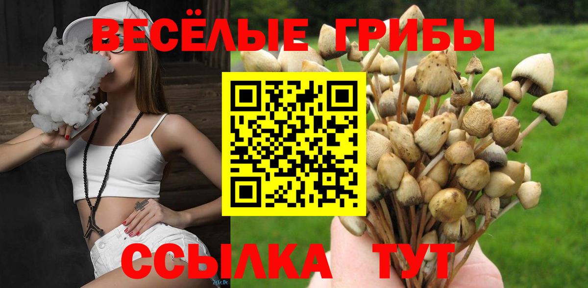 Галлюциногенные грибы Psilocybine cubensis Бугуруслан