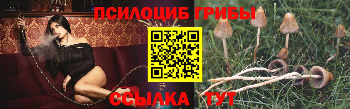 Псилоцибиновые грибы MAGIC MUSHROOMS  где купить наркоту  Бугуруслан  Псилоцибиновые грибы мухоморы  Вход с VPN 